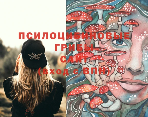 jwh Вязники
