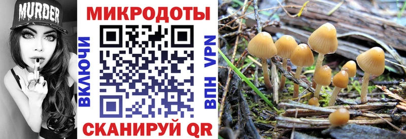 Псилоцибиновые грибы Magic Shrooms  Зея 